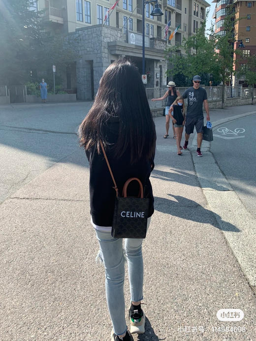 Celine原厂皮cabas（限时特价） 商品图7