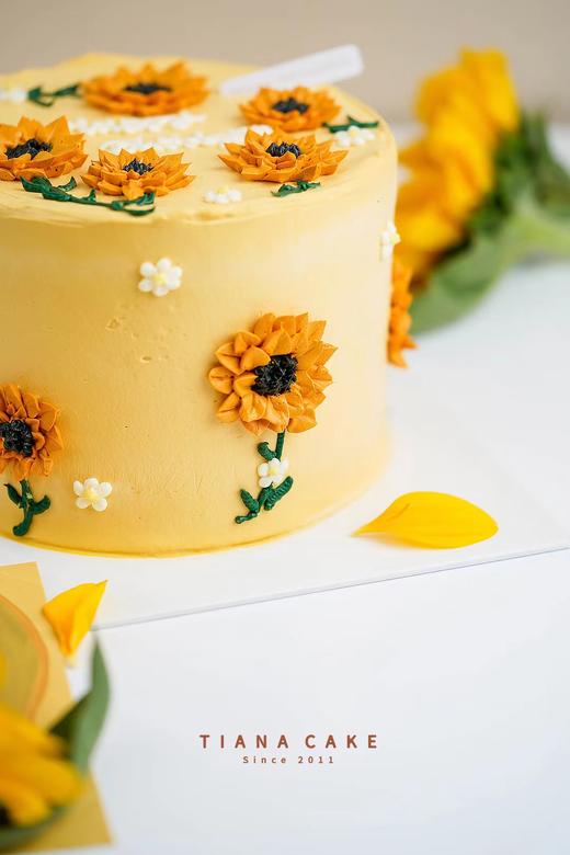 向日葵 商品图2