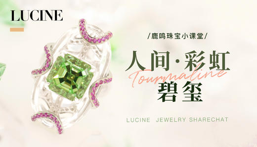 向碧玺爱好者慈禧学习如何买碧玺 商品图0