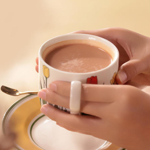 【悦意】植物蛋白红茶固体饮料(植物奶茶/拉茶)210g(30gX7) 商品图2