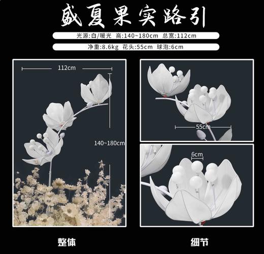 盛夏果实路引（运费自理） 商品图2
