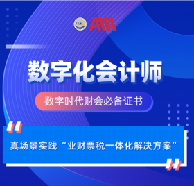 数字化会计师能力认证（初级）