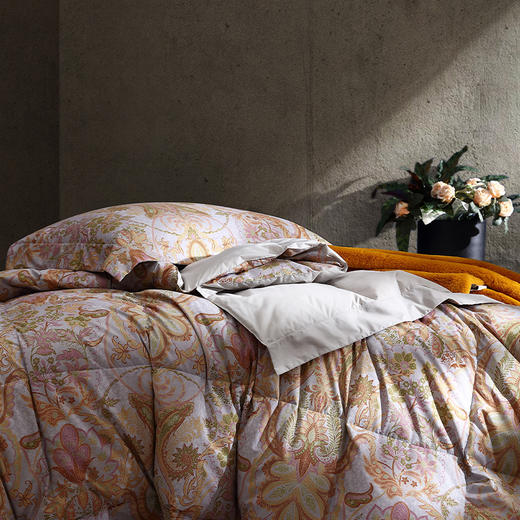 科米可水洗95%鹅绒春秋被四件套 商品图1