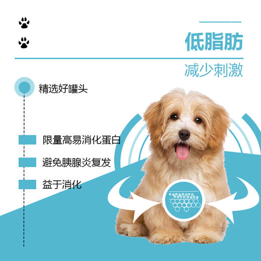 流体处方罐-低脂-犬用158g 商品图1