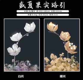 盛夏果实路引（运费自理）