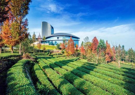 【洪雅锦江青杠坪·茶客空间】周末不加价！
一山一宿，网红茶海秘境🍃
距瓦屋山景区自驾1.5h 商品图5