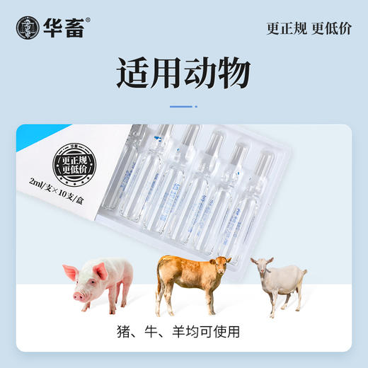 【社群专享】华畜高含量氯前列醇钠注射液 牛羊同期发情 催产 猪分娩前列烯醇钠 商品图1