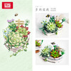 LOZ俐智拼插积木 盆栽鲜花系列 商品缩略图5