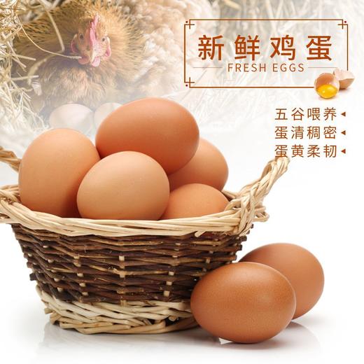 JTY土鸡蛋30枚/盒(仅限湖北省内） 商品图1