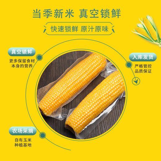 【推荐】东北软糯黄玉米礼盒装 商品图1