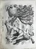 1873年 英国讽刺漫画杂志《笨拙》（卷64） 数百幅插图 漆布精装16开 商品缩略图10