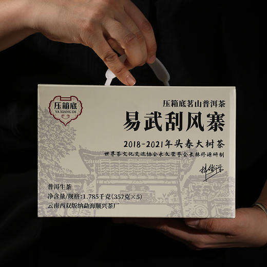 压箱底茗山普洱茶 易武刮风寨 普洱生茶 2018-2021头春大树茶饼茶 商品图2