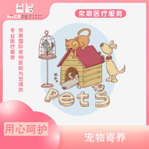 Nice Pet美容部宠物寄养 商品图0