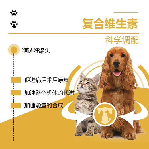 流体处方罐-康复-犬猫通用158g 商品图1