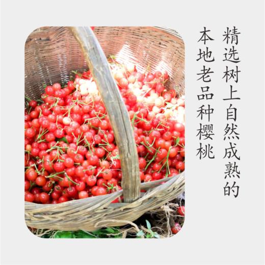 樱桃醋365ML/瓶丨鲜果窖藏陈酿 商品图1