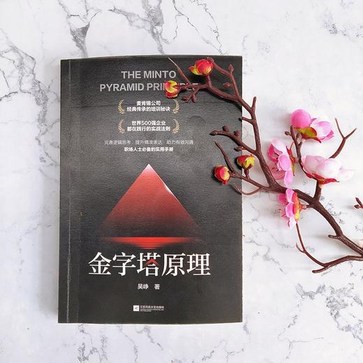 (仓发) 金字塔原理/江苏凤凰文艺出版社/吴峥/9787559454584 商品图2