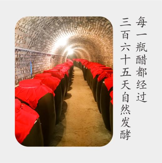 樱桃醋365ML/瓶丨鲜果窖藏陈酿 商品图2