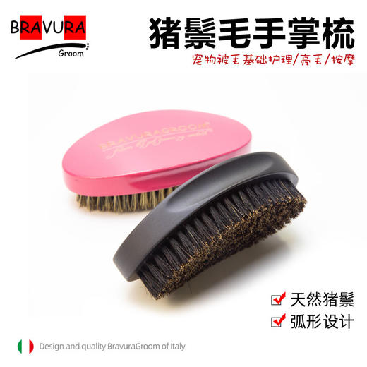  宠物猪鬃亮毛刷 手掌梳 意大利BRAVURAGROOM 商品图0