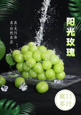 WJSM-澧县阳光玫瑰葡萄-特级果