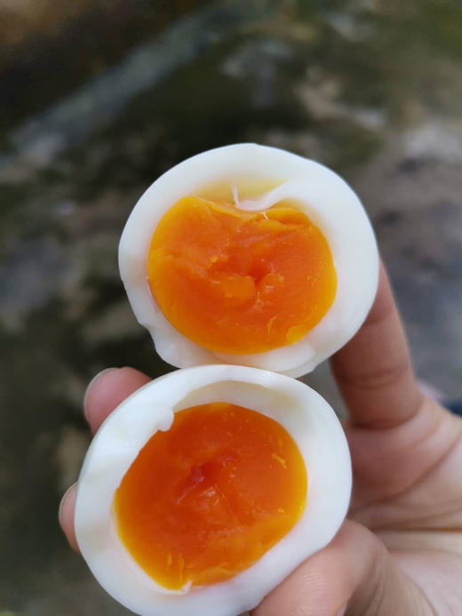 九华山散养土鸡蛋当季新鲜现捡深山农家土鸡蛋草鸡蛋一元一个 商品图8