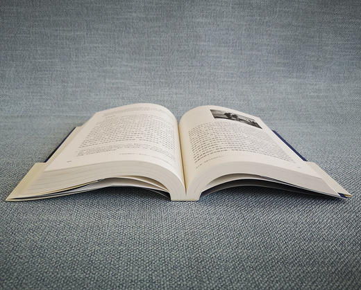 (仓发) 打破玻璃盔甲：新形式主义电影分析/北京大学出版社/[美]克里斯汀·汤普森/9787301310847 商品图5