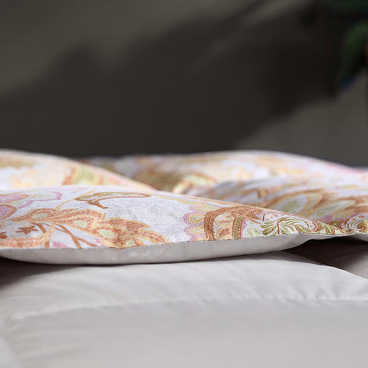 科米可水洗95%鹅绒春秋被四件套 商品图3