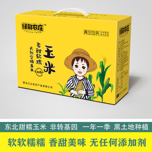 【推荐】东北软糯黄玉米礼盒装 商品图0