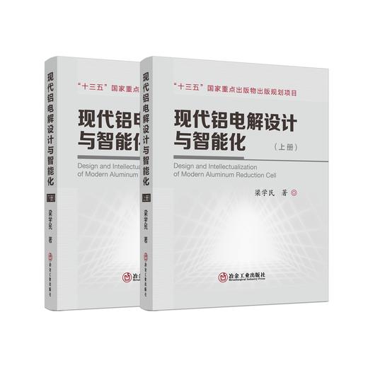 现代铝电解设计与智能化/梁学民著. 商品图0