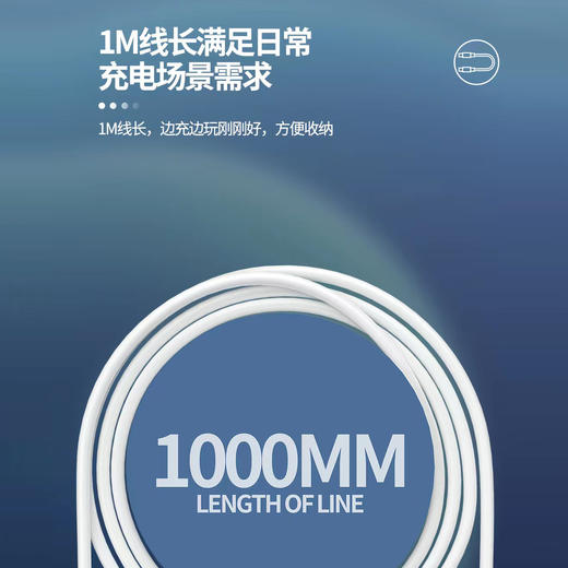 20w苹果pd快充数据线 商品图1