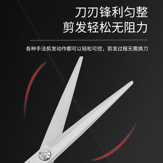 ZEBRA斑马剪刀T100  /剪刀/平剪/6寸 综合剪 商品图3