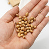 椭圆橄榄木珠木料原木料意卡米诺手串念珠串珠单颗珠子料散珠老料意大利进口 商品缩略图1