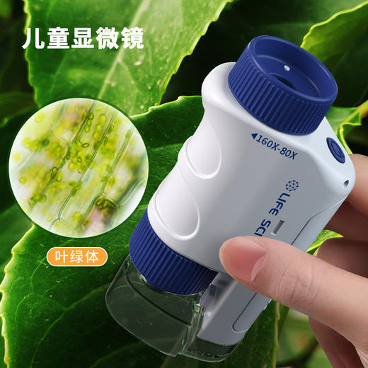 手持便携式显微镜 米乐 商品图1
