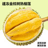 【39元/斤】(速冻)树熟金枕榴莲1颗 (重4斤，超重部分店内补差价)【当天提货】 商品缩略图0