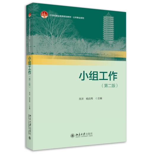 小组工作（第二版） 芮洋 杨启秀 北京大学出版社 商品图0