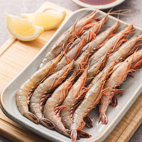 江苏海捕金钩虾