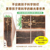 我身边的大自然(全8册) 商品缩略图4
