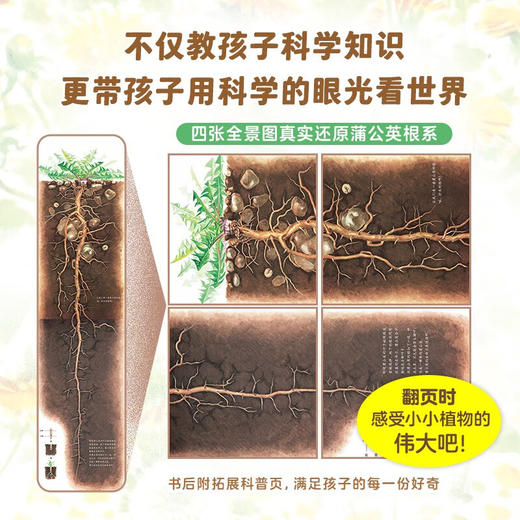 我身边的大自然(全8册) 商品图4