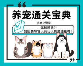 你知道吗？我国的导盲犬竟比大熊猫还稀有！