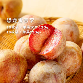 好神仙的水果！香如杏，脆如李，甜如桃【恐龙蛋李子】！