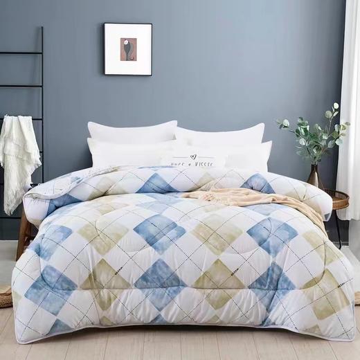 恒源祥专柜 莉莫尔 清新时尚春秋被 商品图0