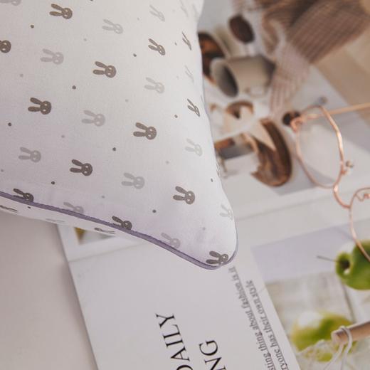 花花公子 专版爱芯对枕HAXZ02【YGYL1.0】 商品图2