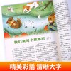 意林少年版15周年纪念刊精品集（全2册）  满分作文素材 6-15岁 商品缩略图3