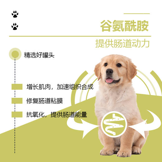 流体处方罐-肠道-犬用158g 商品图1