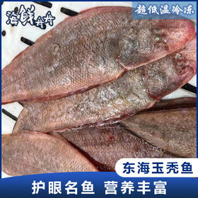 【野生】东海玉秃鱼