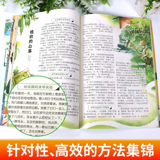 意林少年版15周年纪念刊精品集（全2册）  满分作文素材 6-15岁 商品图2