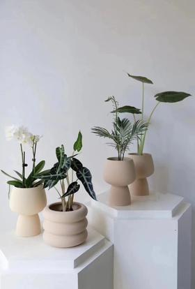   办公家具桌面绿植小盆栽