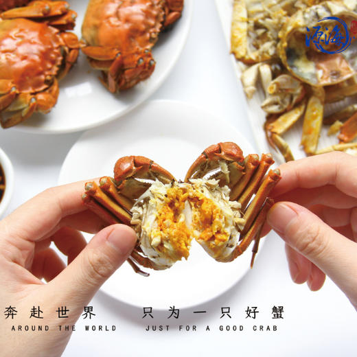 蟹卡 | 阳澄湖大闸蟹 | 公3.5两4只/母2.5两4只 |礼券 商品图9