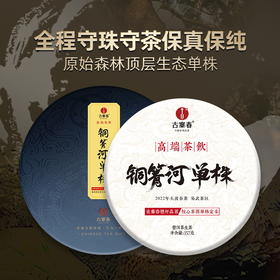 【22年铜箐河单株】普洱茶生茶云南易武茶饼800年古树单株357g茶饼（无铁盒包装）