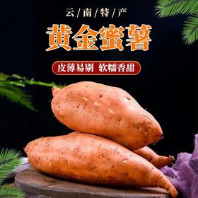 云南新鲜小蜜薯（香甜粉糯，包邮）