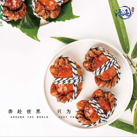 蟹卡 | 阳澄湖大闸蟹 | 公3.5两4只/母2.5两4只 |礼券 商品图3